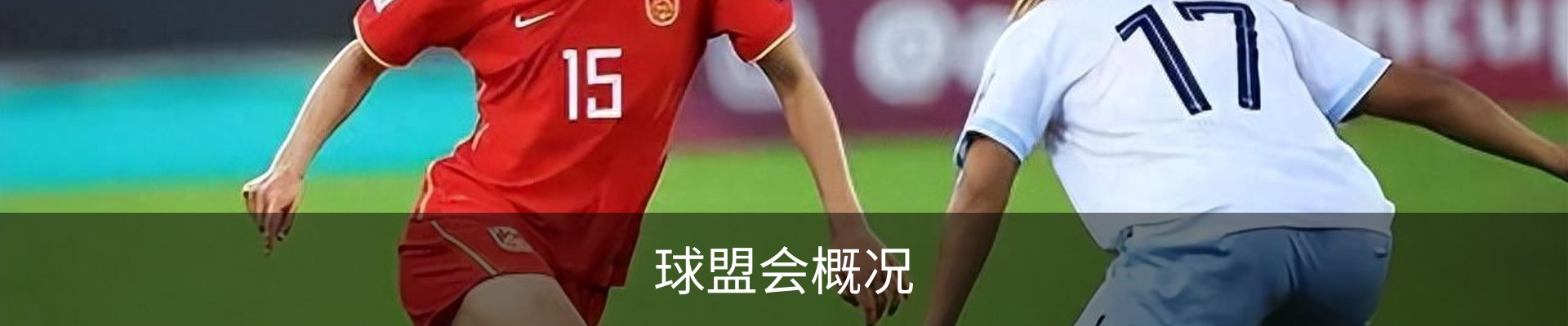 球盟会概况